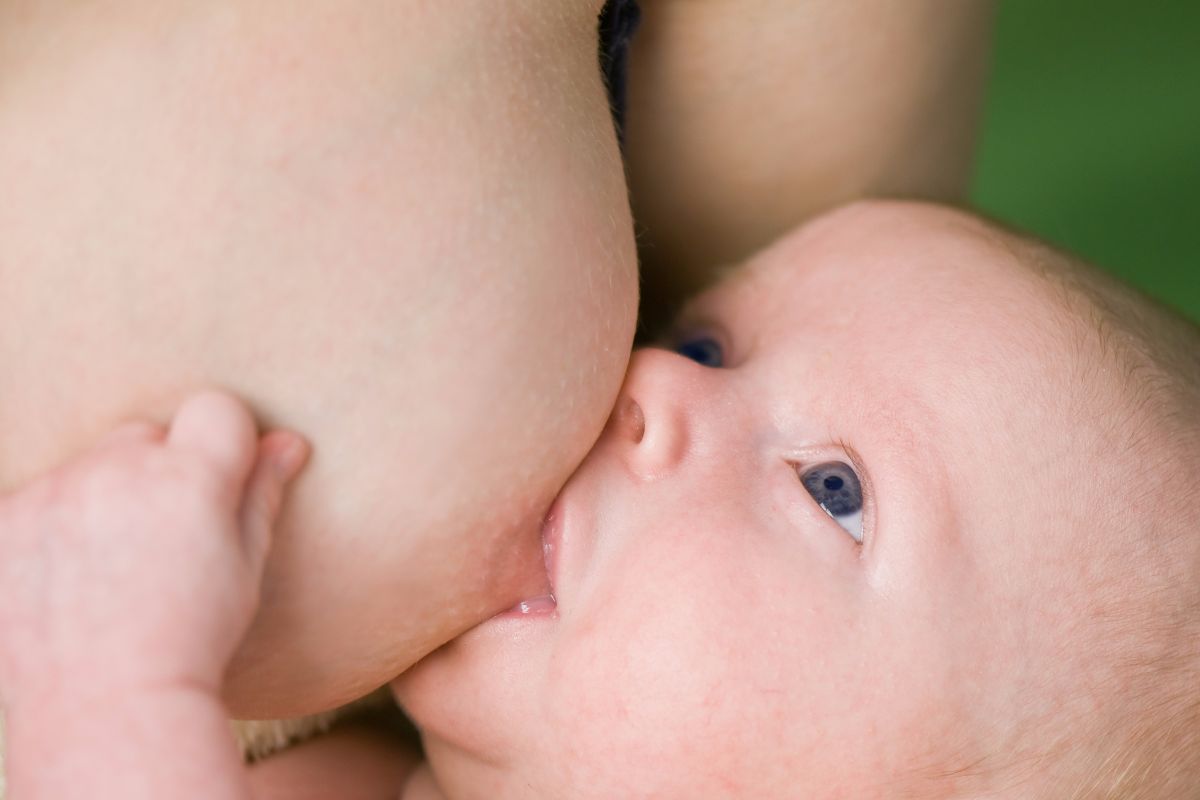 новорожденный сосет одну грудь фото 105