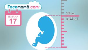 17 Semanas De Embarazo Sabes Cuáles Son Los Nuevos Cambios
