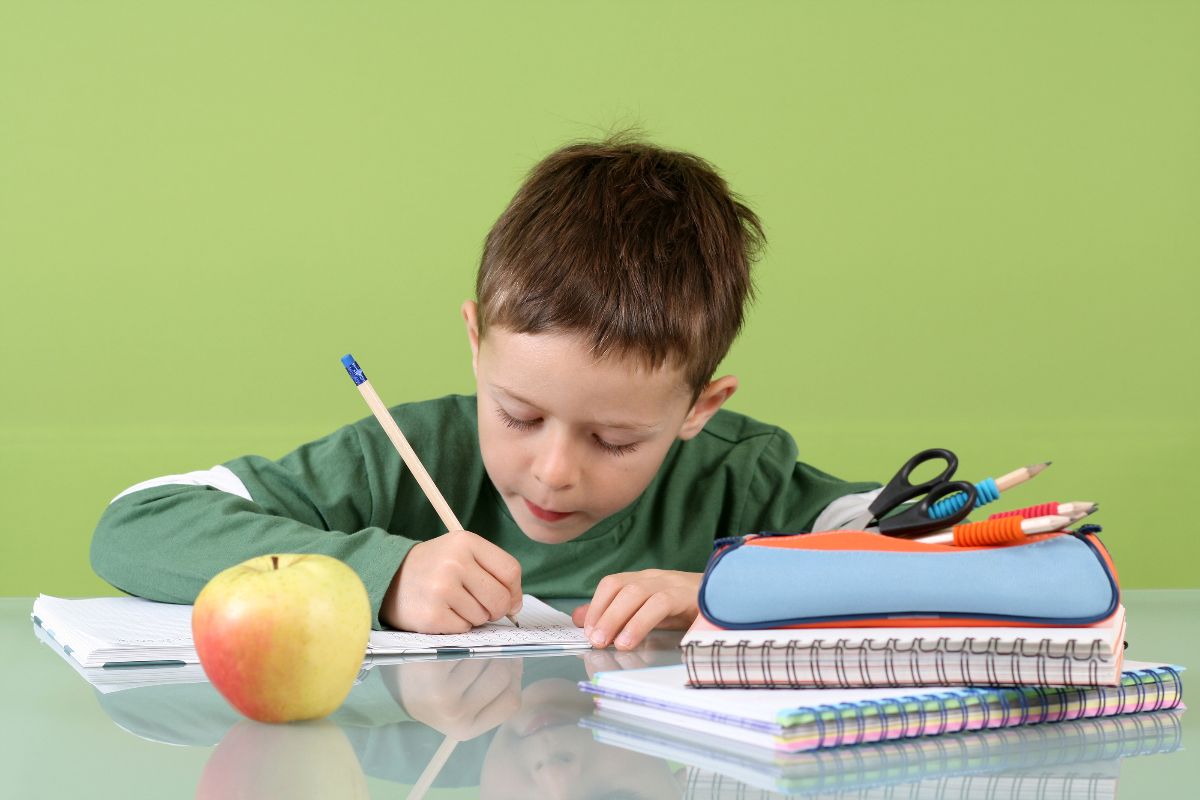 En Qu Momento Debe Hacer El Ni o La Tarea Escolar