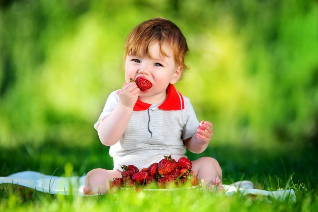 picnic con los niños