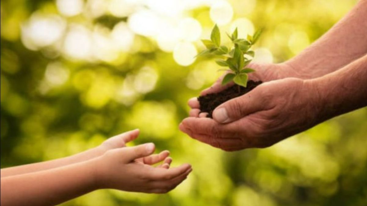 Los niños deben comprender el significado de preservar el medio ambiente