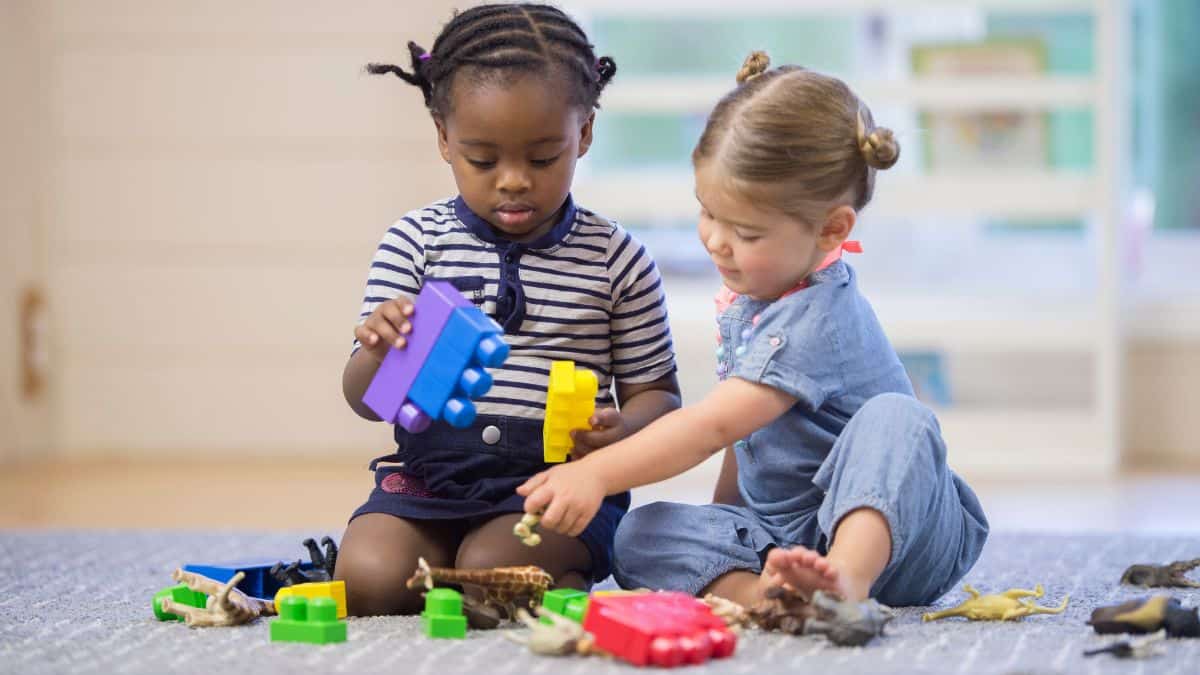 Qué es la educación consciente, del modelo del Dr. Taddy Blecher