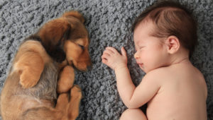 Qué hacer si mi hijo es alérgico a tu mascota